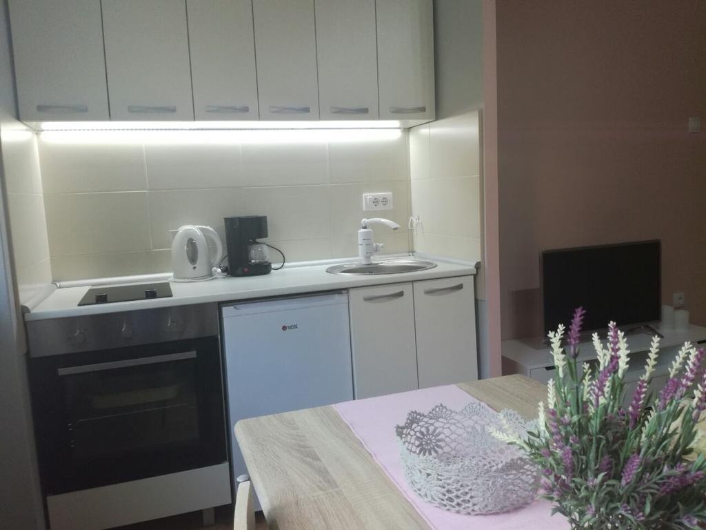 Apartment Marija Sremska Mitrovica Bagian luar foto